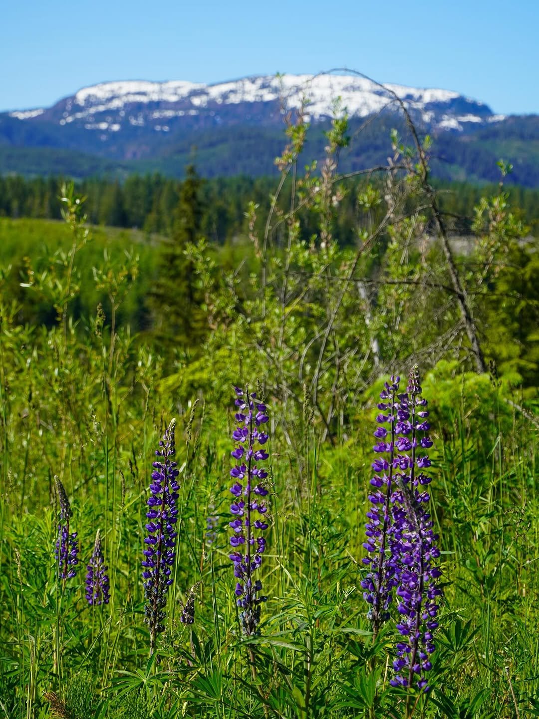 Photo by 워홀만 4번째 윌리ㅣ캐나다 워홀러🇨🇦 on June 17, 2025.