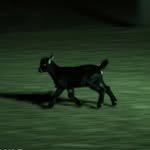 sundayoffclub 프로필 사진