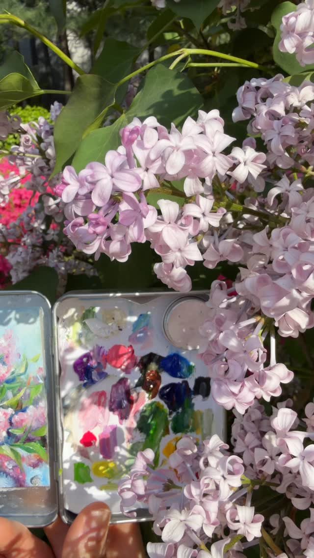 noopy_grim 게시물 이미지: 4월 제가 가장 기다리는 꽃 라일락💜 바람에 흔들리는 예쁜 연보라빛 향기☺️...