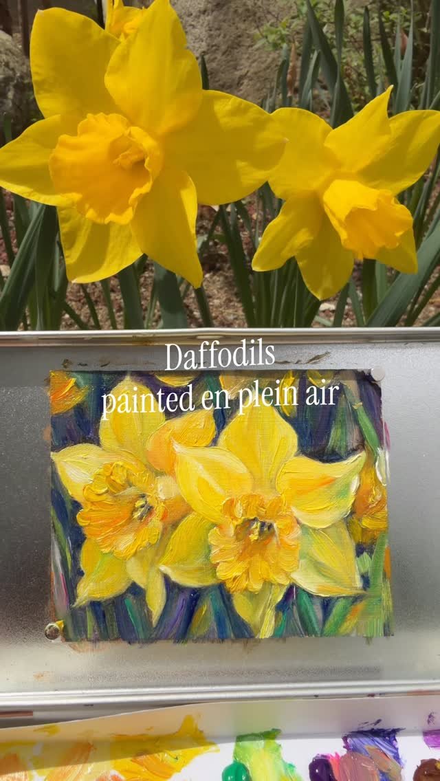 noopy_grim 게시물 이미지: 노랑노랑 수선화💛 올해는 뭔가 꽃이 동시에 피는 느낌이에요?😆 벚꽃, 민들레,...