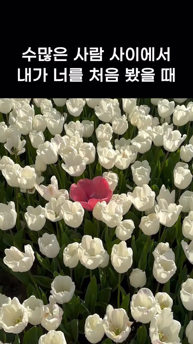 note_aboutyou 게시물 이미지: @ 이게 내 마음이야❤️
ㅡ
#사랑 #사랑꾼 #러브 #하트 #릴스