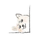 onedaytodayz 프로필 사진