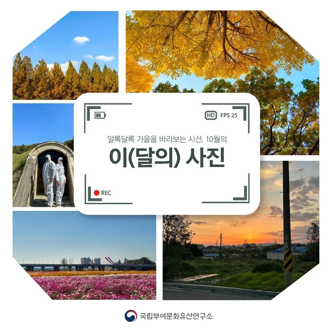 Photo by 국립부여문화유산연구소 on October 30, 2025. May be an image of baby's-breath, outdoors, Gyeongbokgung Palace and text that says 'HDFPS25 HD FPS25 25 알록달록 가을을 바라보는 시선, 10월의 이 이(달의) 사진 REC REC 국립부여문화유산연구소'.