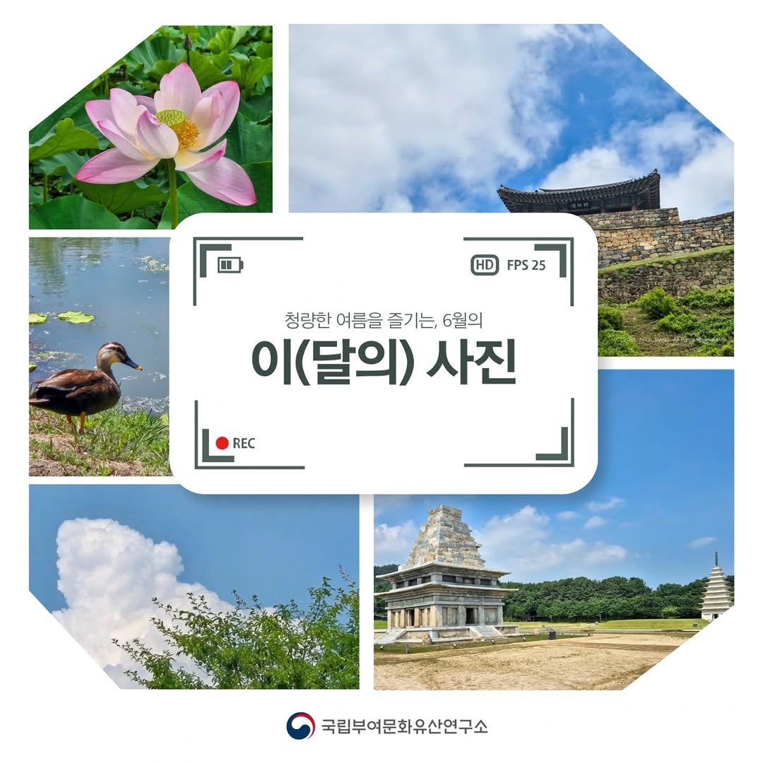 Photo by 국립부여문화유산연구소 on June 30, 2025. May be an image of Gyeongbokgung Palace, outdoors and text that says 'HD FPS25 25 청량한 여름을 즐기는, 청량한여름을즐기는,6월의 6월의 이 이(달의) 사진 REC MNNdee 국립부여문화유산연구소'.