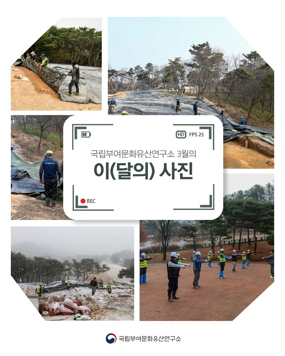 Photo by 국립부여문화유산연구소 on March 31, 2026. May be an image of ‎plant, outdoors and ‎text that says '‎HD FPS25 ר 국립부여문화유산연구소 3월의 (달의) 사진 นเกปหาะ 갈집 국립부여문화유산연구소‎'‎‎.