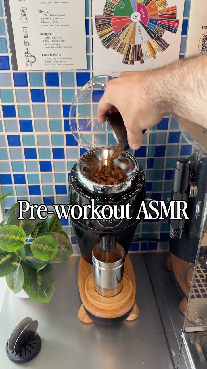 nszimmer 게시물 이미지: Pre-workout ASMR

I swear every time I film...