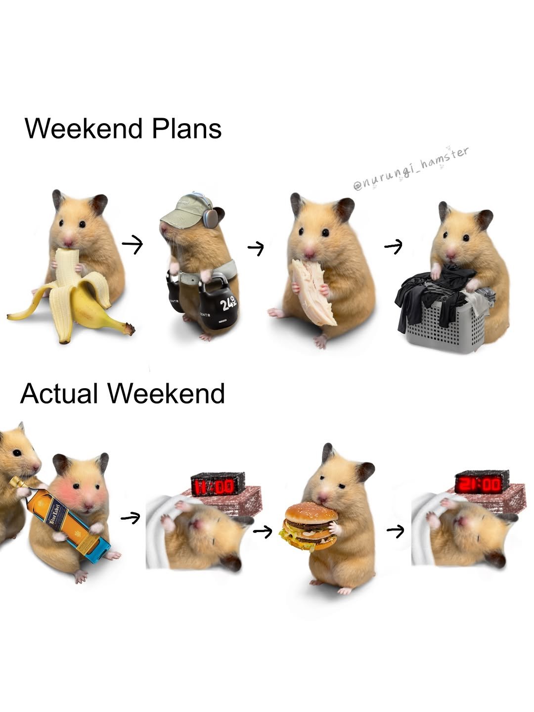 nurungi_hamster 게시물 이미지: This week couldn’t be helped × 52

#hamster #fyp