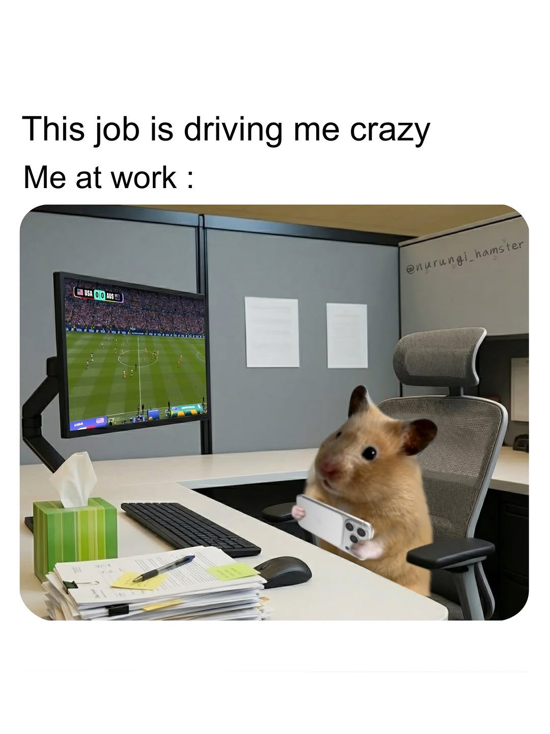 nurungi_hamster 게시물 이미지: Me at work: Scrolling on my phone every chance...