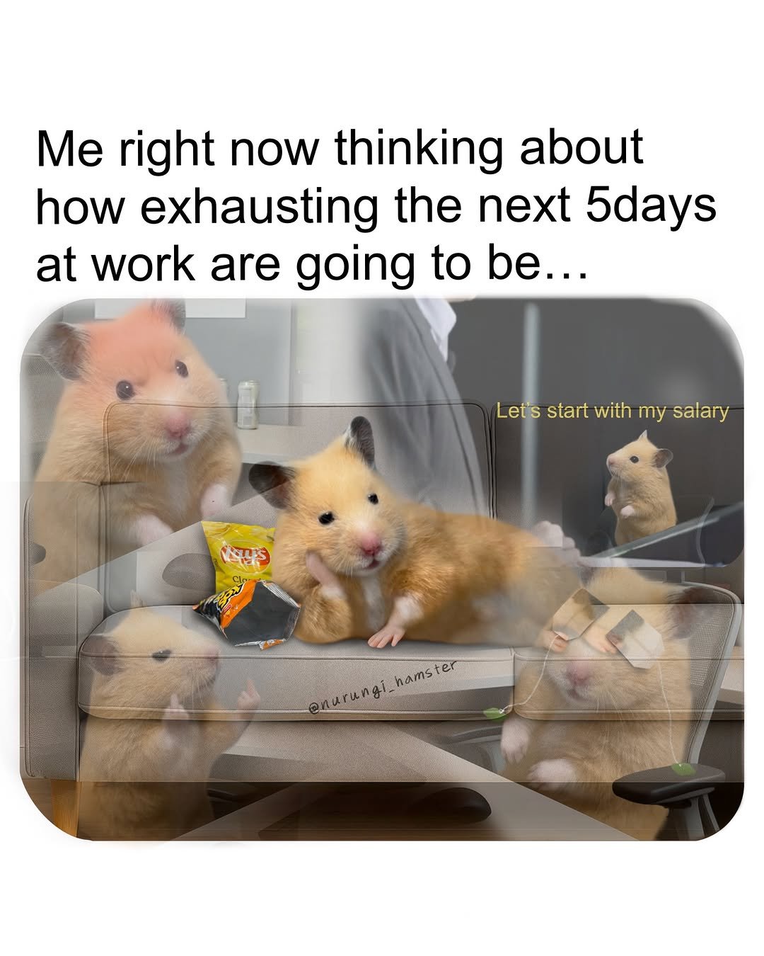 nurungi_hamster 게시물 이미지: Why do weekends go by so fast..

#hamster