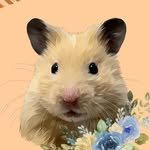 nurungi_hamster 인스타그램 프로필 사진