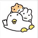 doohambba 프로필 사진