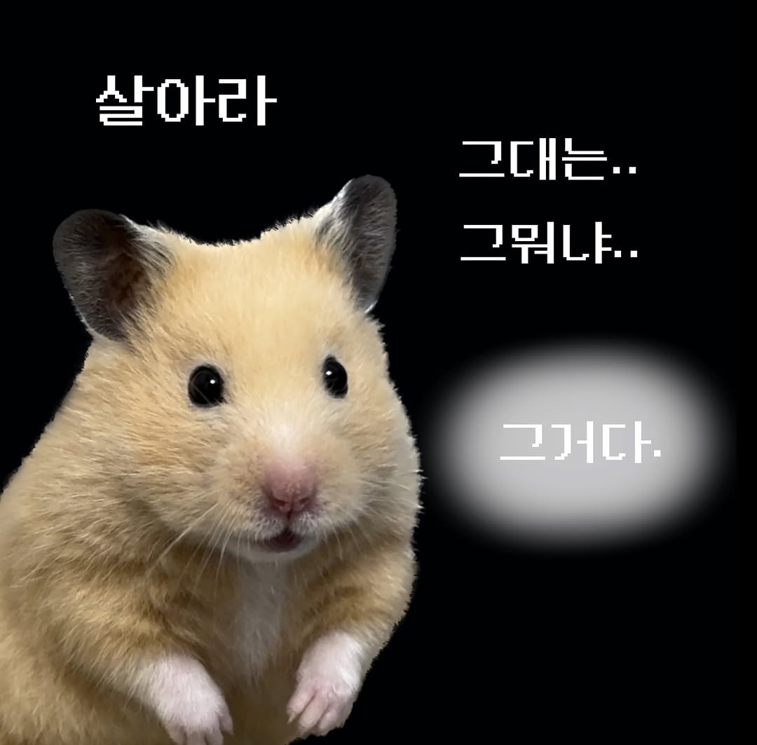 nurungi_hamster 게시물 이미지: 위로를 건네는 햄스터