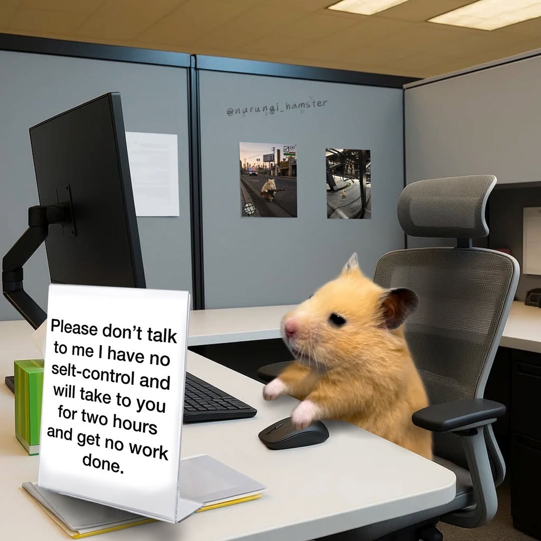 nurungi_hamster 게시물 이미지: Someone, please talk to me

#hamster