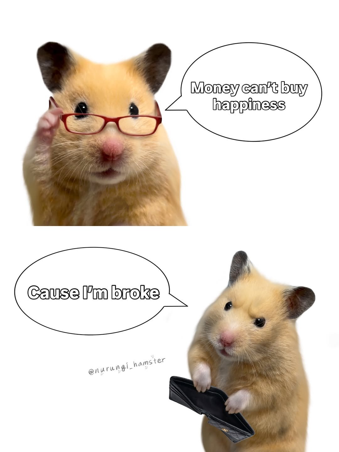 nurungi_hamster 게시물 이미지: This is why I have to go to work

#hamster