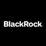blackrock 프로필 사진