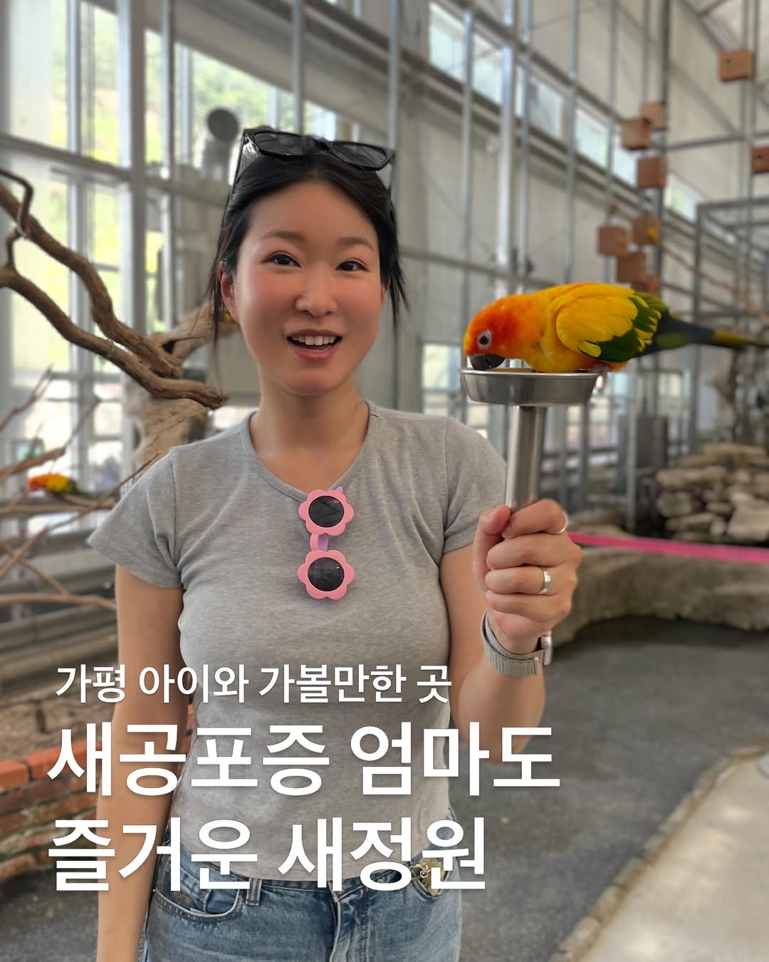 ny.moves_ 게시물 이미지: 가평 아이와 가볼만한 곳
베고니아 새정원🦜

새 공포증있는 엄마도 즐겁게 놀다온...