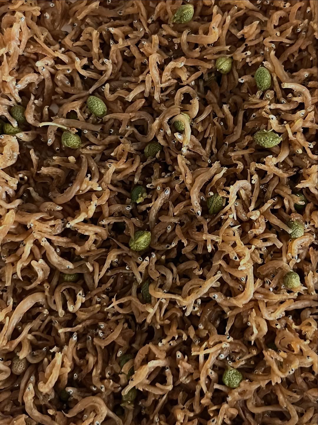 Photo shared by Ö PEPPER | 오페퍼 후추전문점 on July 05, 2025 tagging @marchefriends. May be an image of noodles, ramen, chow mein, biryani, spaghetti, vegetable and text.