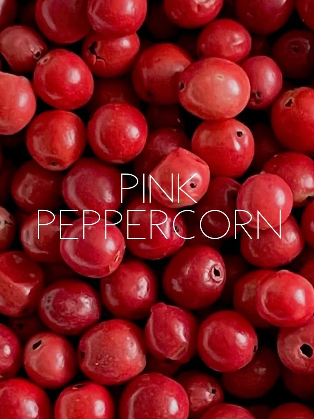 Photo by Ö PEPPER | 오페퍼 후추전문점 on July 17, 2025. May be an image of pomegranate and text that says 'PINK PEPRERCORN'.