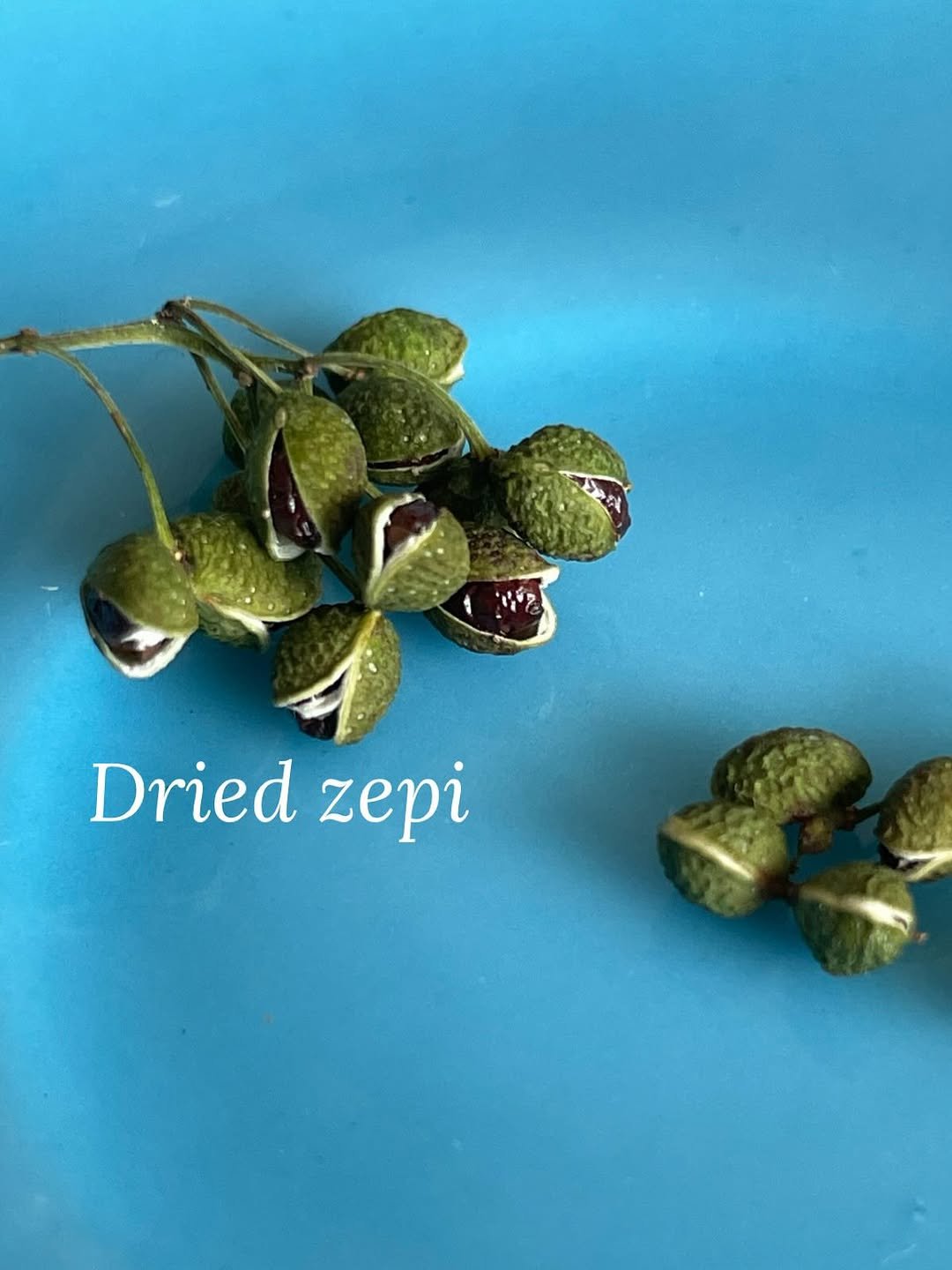 Photo by Ö PEPPER | 오페퍼 후추전문점 on August 22, 2025. May be an image of longan and text that says 'Dried riedzepi zepi'.