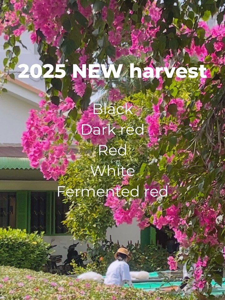 Photo by Ö PEPPER | 오페퍼 후추전문점 on September 27, 2025. May be an image of 1 person, outdoors and text that says '2025 NEW harvest Black Darkreo red Red White Fermented red'.