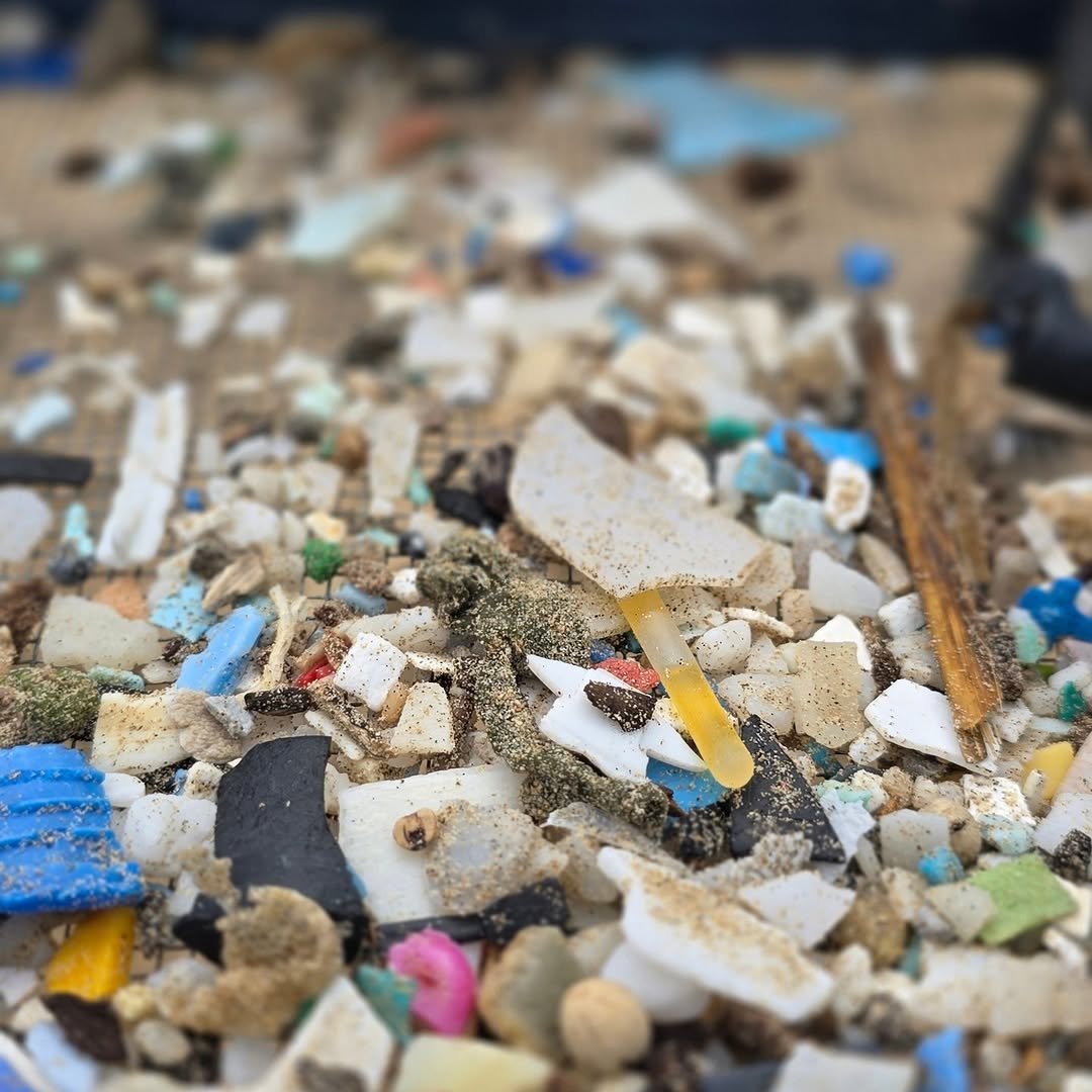 oahusurffilms 게시물 이미지: Microplastics are a big problem on O'ahu and...