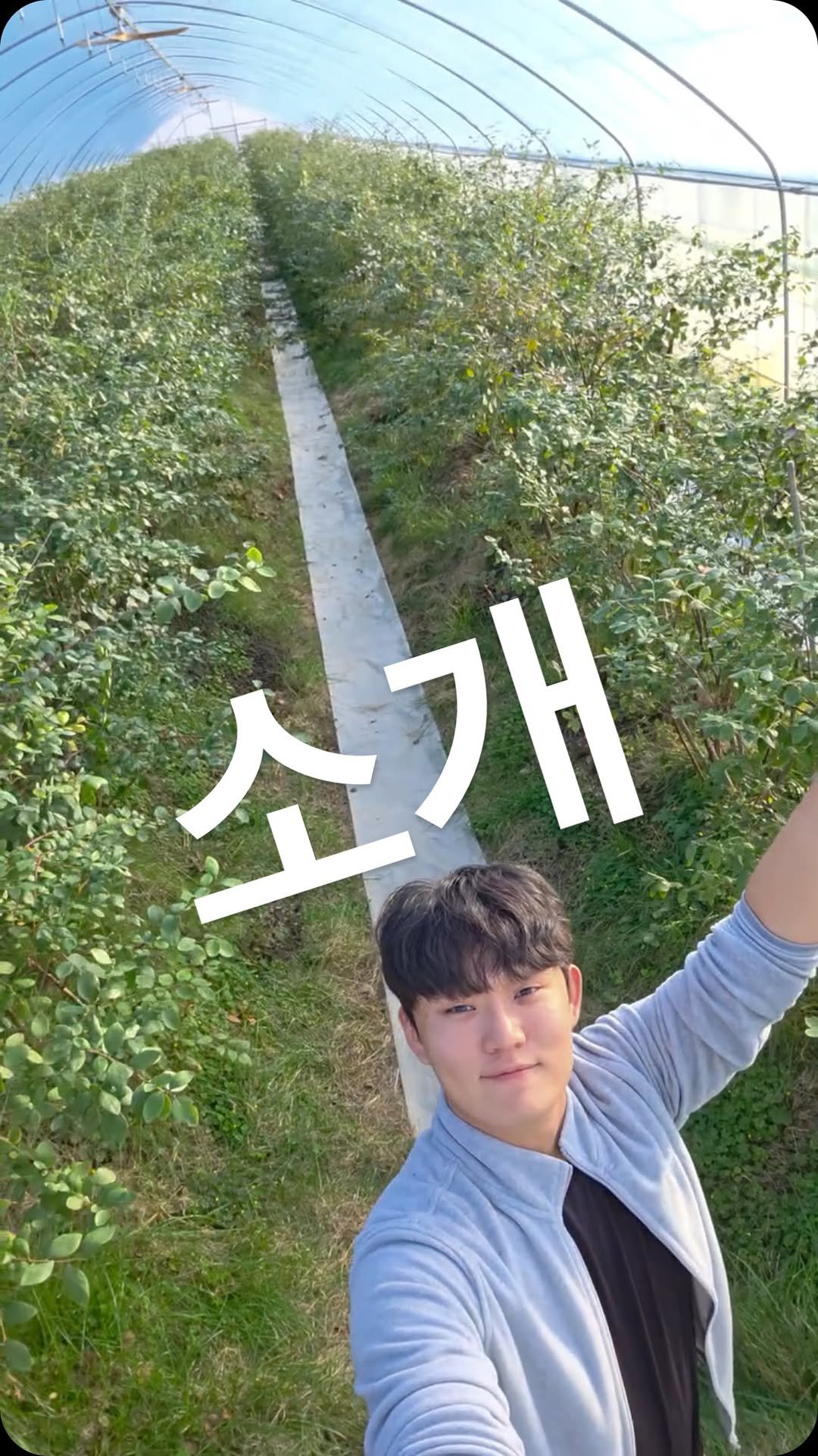 oberry_dw 게시물 이미지: 저는 3대째 블루베리 농사를 짓고있는 농부입니다.
어머니를 돕고싶어...