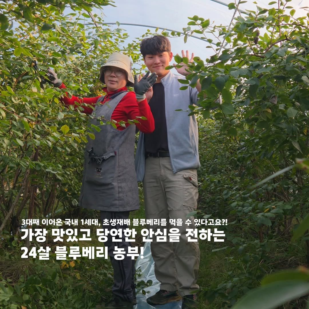 Photo by 오베리 | 초생재배 블루베리 농장 on February 24, 2026. May be an image of outdoors and text that says '3대째 이어온 국내 1세대 초생재배 블루베리를 먹을 수 있다고요?! 가장 맛있고 당연한 안심을 전하는 24살 블루베리 농부!'.