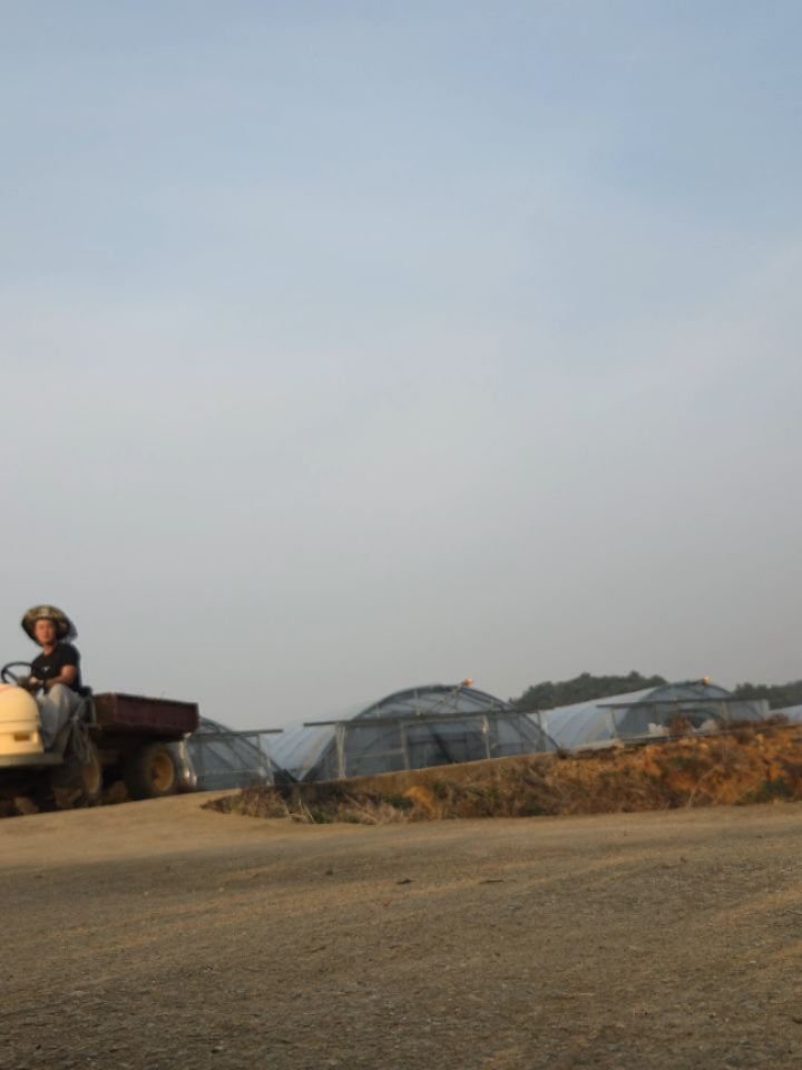 oberry_dw 게시물 이미지: 여러분 모두 2025년 행복하게 보내셨나요?

새해가 되면
괜히 마음가짐부터...