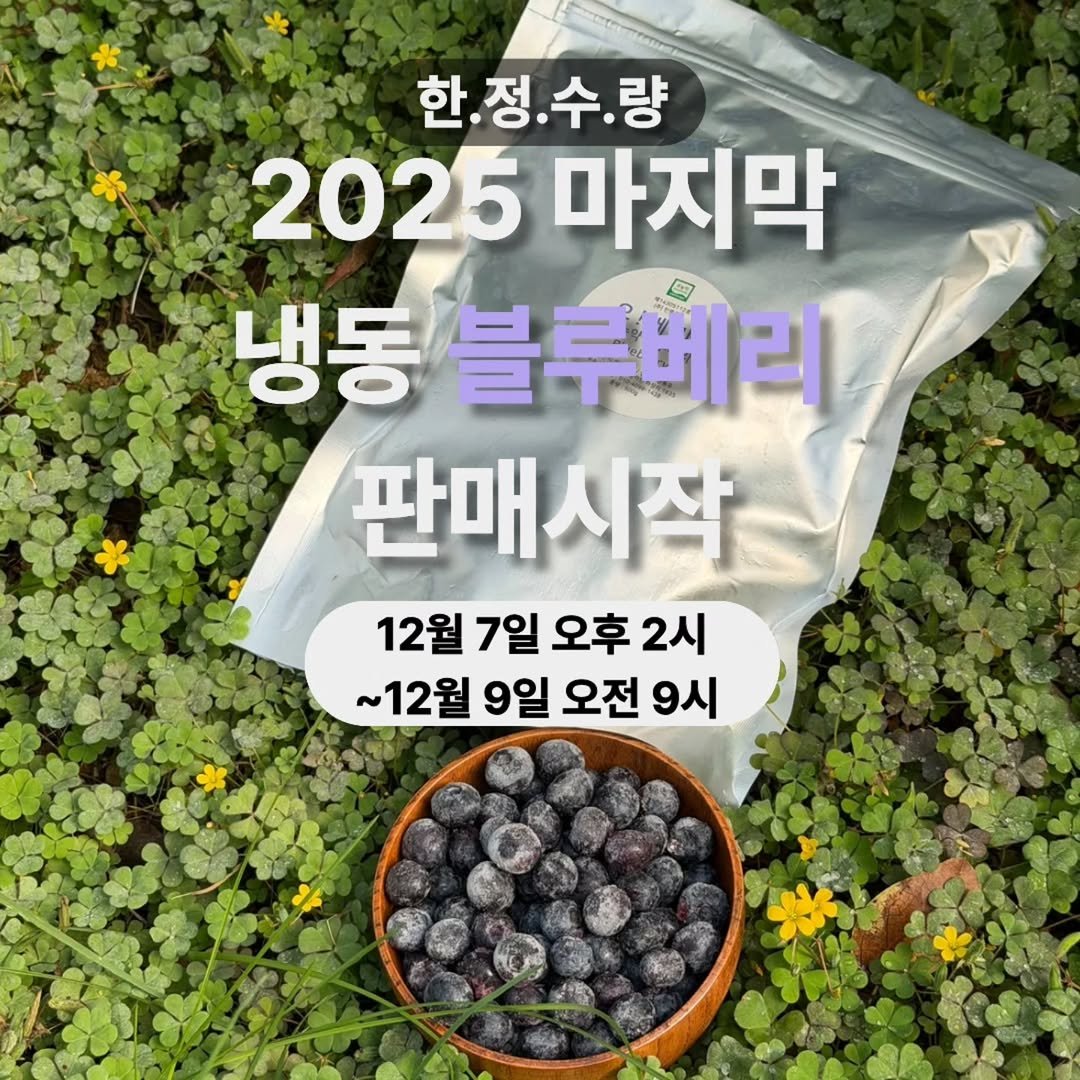 Photo by 오베리 | 초생재배 블루베리 농장 on December 05, 2025. May be an image of blueberries.