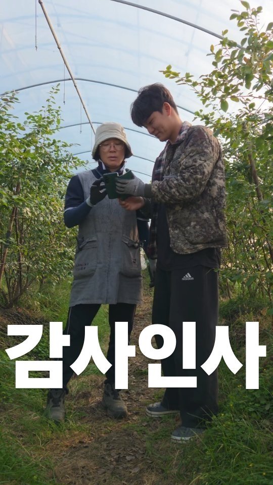 oberry_dw 게시물 이미지: 안녕하세요! 3대째 블루베리 농사있는 23살 농부입니다.
우선 이렇게 많은 관심과...