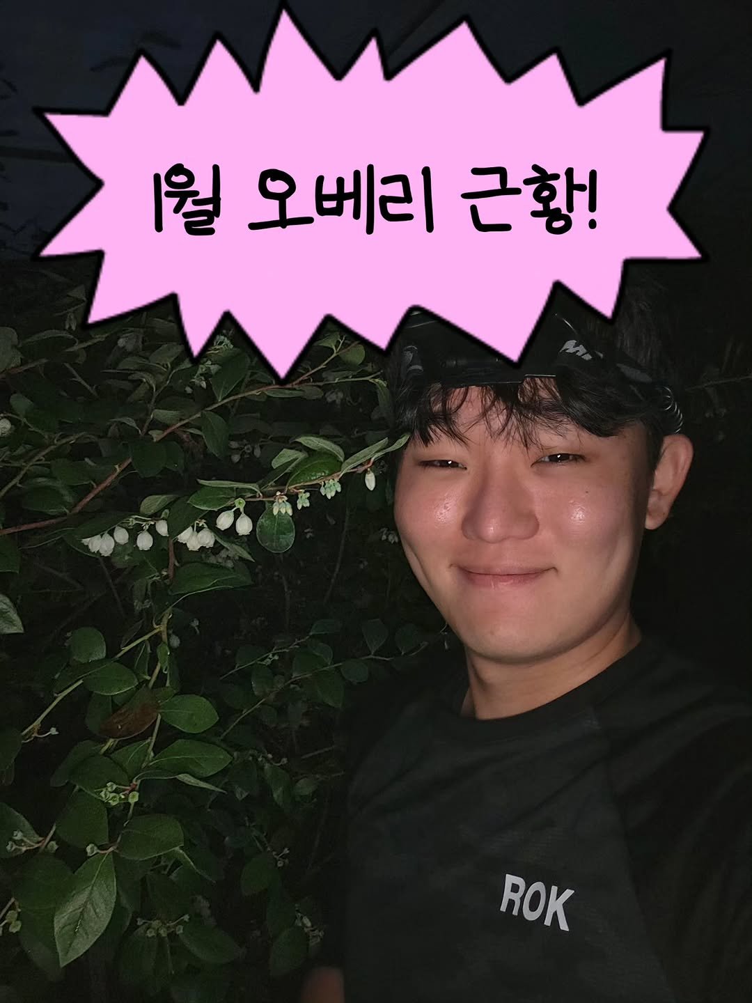 Photo by 오베리 | 초생재배 블루베리 농장 on January 28, 2026. May be an image of baby's-breath and text that says '1월오베리근항! 1월 오베리 근황! ROK'.