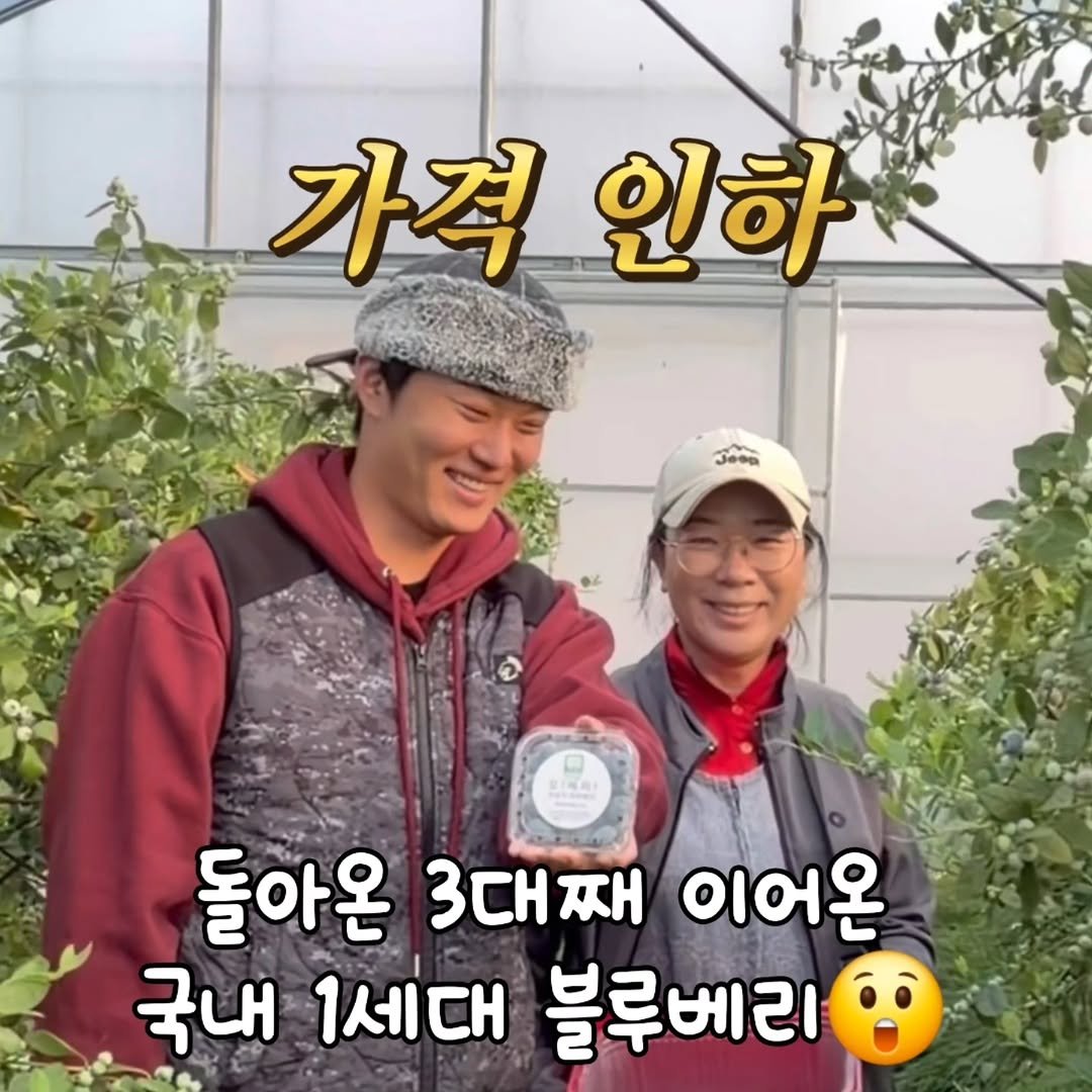 Photo by 오베리 | 초생재배 블루베리 농장 on March 17, 2026. May be an image of vegetable and text that says '가격인하 인하 가격 Jeea 판연트 돌아온 3대째 이어온 국내 1세대 블루베리'.