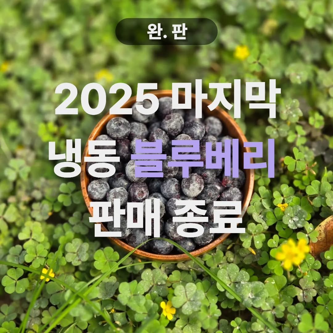 Photo by 오베리 | 초생재배 블루베리 농장 on December 07, 2025. May be an image of blueberries and vegetable.