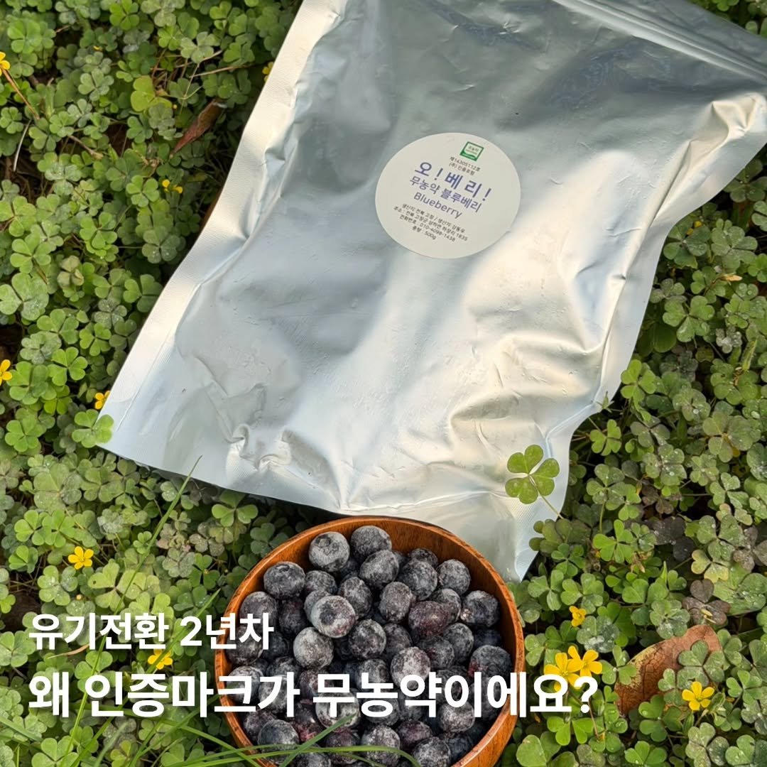 Photo by 오베리 | 초생재배 블루베리 농장 on December 05, 2025. May be an image of blueberries.