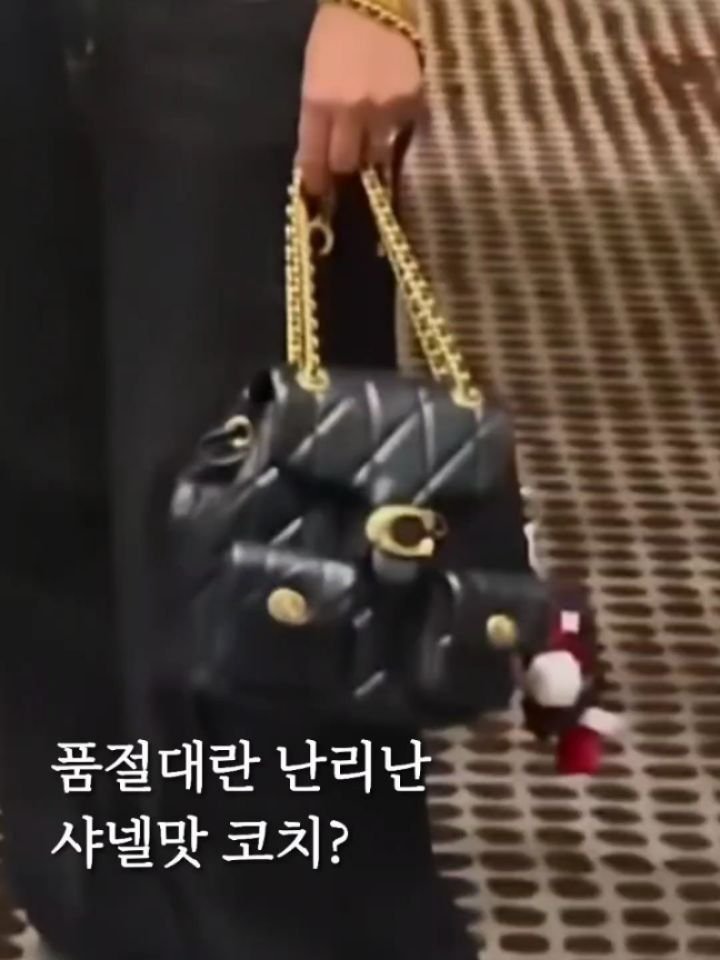 ocksoon_gogo 게시물 이미지: ​✨ 샤넬맛으로 난리 난 '역대급 갓성비' 코치? 품절 대란 중! ✨
​(정보...