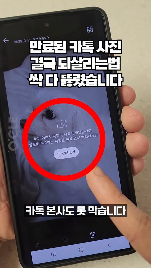 ocle_lab 게시물 이미지: 만료된 카톡 사진 되살리는 법! 📷

카톡방에 올라왔던 사진을 다운받으려고...