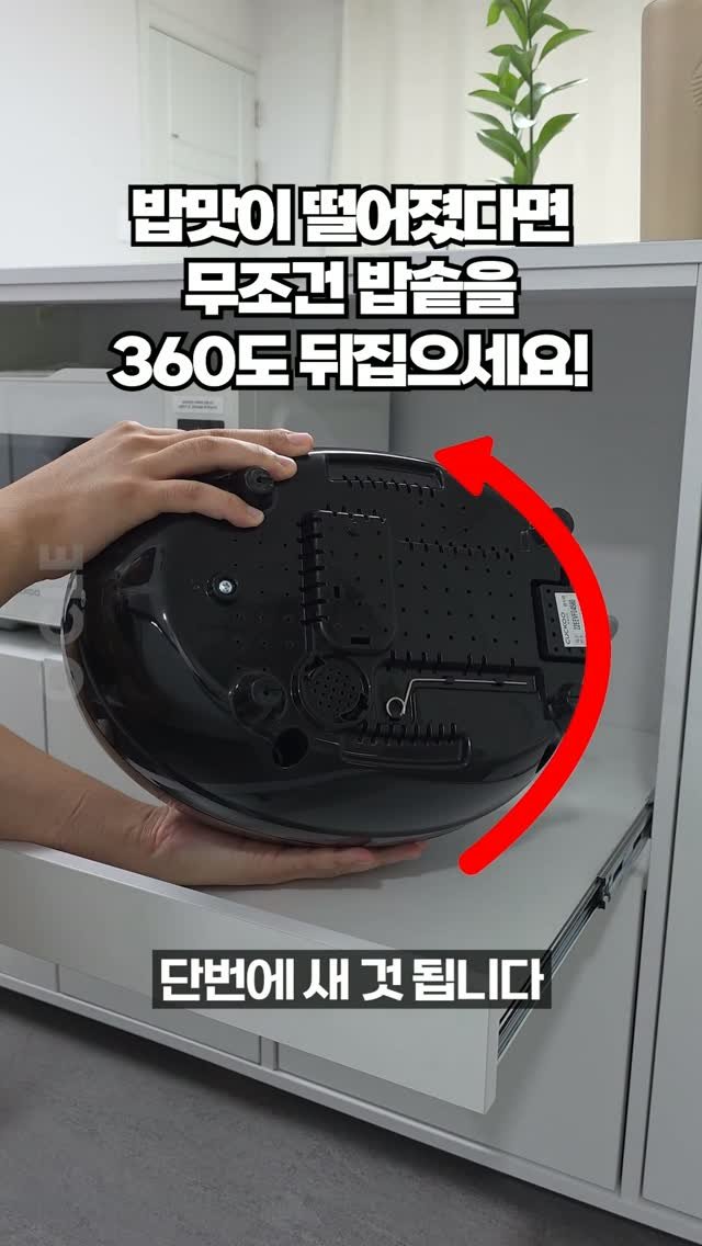 ocle_lab 게시물 이미지: 밥 맛이 이상할 때, 밥솥을 뒤집어야 하는 이유!🍚

방금 한 밥에서 쿰쿰한 냄새가...
