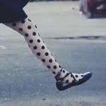 pig_jeongmini 프로필 사진