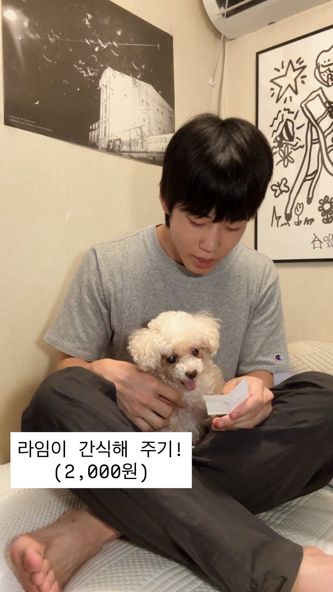 odamsari 게시물 이미지: 라임이랑 오늘의 식비는~~