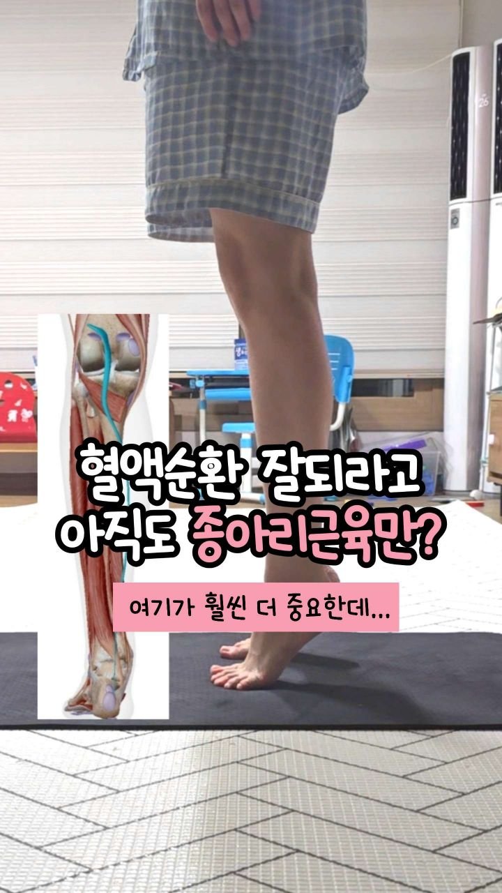 oddukmom 게시물 이미지: ✨ 제2의 심장은 종아리 근육 펌프🔥
이 말 많이 들어보셨죠?🩷
혈액순환을 위해...