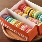 however_107 프로필 사진