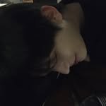 presentuhee 프로필 사진