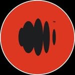 officialforecastsurf 인스타그램 프로필 사진