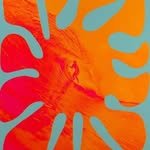 stephsurfshop 프로필 사진