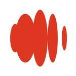 officialforecastsurf 인스타그램 프로필 사진