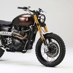 triumph_customs 프로필 사진
