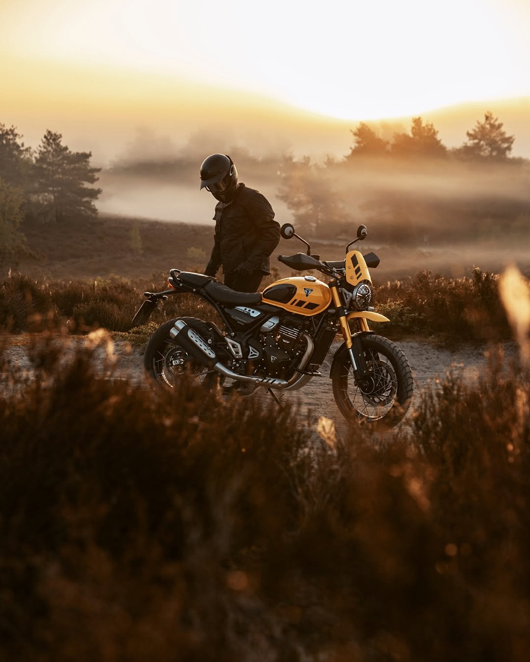 Photo by Triumph Motorcycles on February 12, 2026. May be an image of racing vehicles, dirt bike, motorcycle, scooter, outdoors and text.