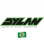 dylanshapesbrasil 프로필 사진