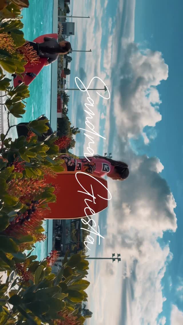 oficinafabioaquino 게시물 이미지: Sandra Giesta Intermediário Plus na Surfland Brasil.