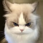 ohmyo___ 인스타그램 프로필 사진